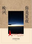 你是夏夜一场梦免费阅读