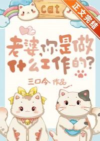 老婆是干什么用的