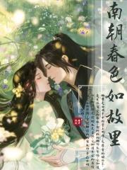 南朝春色 讲的什么