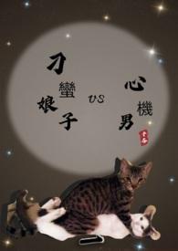 刁蛮新娘好看吗