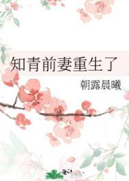 知青前妻重生了免费完整版