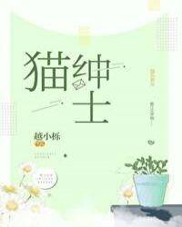 绅士猫是什么品种