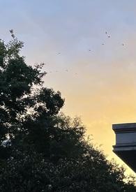 圣母结局是什么意思