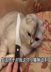 旧爱刚去新欢不止np