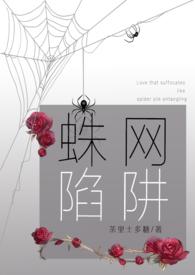 蛛网陷阱(病娇强制爱 合集H)-茶里士多