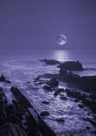 暗夜全文