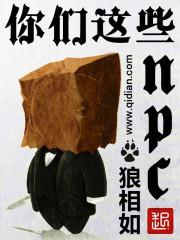 你们这些npc全文