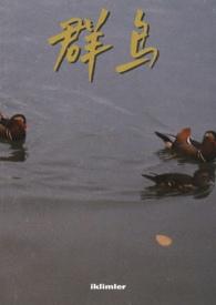 群鸟欢腾的意思