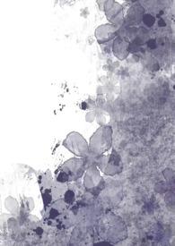 曼陀罗his