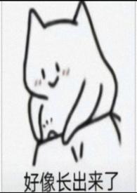 那个被我玩弄的男孩全文阅读