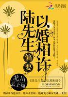 免费陆先生偏要以婚相许