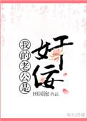 我的老公是奸佞 重生