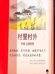 村里村外讲的是什么故事