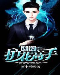 绝美高手的透视高手