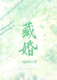 藏婚(先婚后爱)全文免费阅读闻落