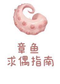 章鱼作者