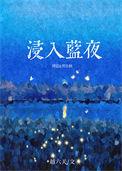浸入蓝夜免费txt