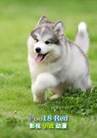 小奶狗(年下)笔趣阁作者玄珍