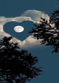 姐弟深情回忆txt