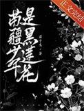 苗疆少年是黑莲花完结