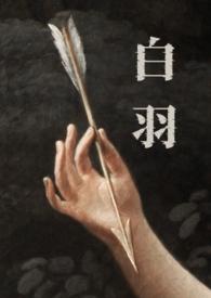 男主叫白羽的