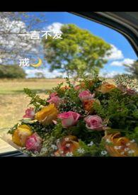 一言不发意思