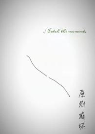 原则是什么意思