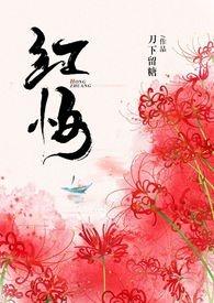 红妆电视剧剧情介绍