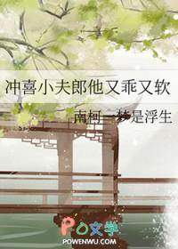 冲喜小夫郎他又乖又软by南柯一梦是浮