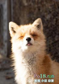 睡了反派男二之后(1v1)/岭南困了么免费阅读