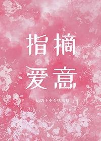 指摘的含义