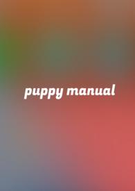 小狗诱捕手册的情节