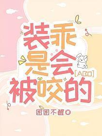 装乖番外