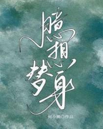 臆想替身作者何小懒