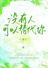 没有人能替代你歌词