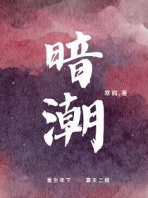 暗潮缉凶陈建斌