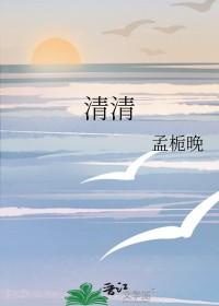 清清辅助首发