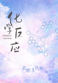 化学反应中字幕
