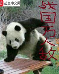 战国万人敌TXT免费全本