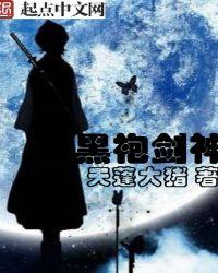 黑袍剑圣之异界纵横起点