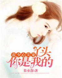 帝少的专属丫头你好甜