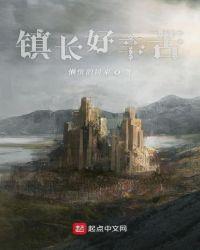 镇长是做什么工作的