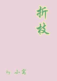 折枝的作品集