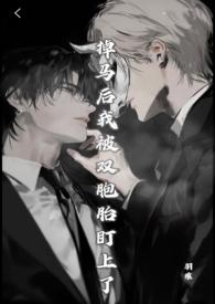 掉马后我成了宠妃最新