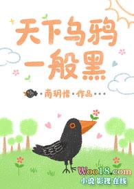 天下乌鸦一般黑打三个数字