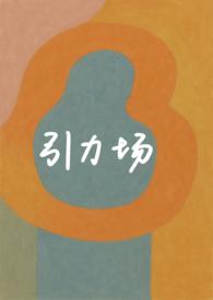 引力场理论