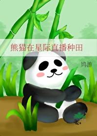 在星际养熊猫后我红了