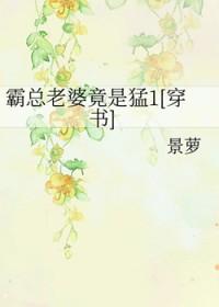 霸总你老婆又跑了