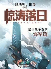 惊涛落日图片