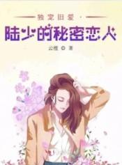 独宠旧爱陆少的秘密恋人72章